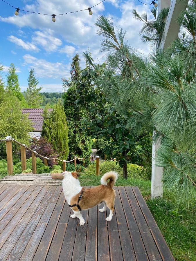 Casa Cu Suflet Hotell Sighişoara Exteriör bild