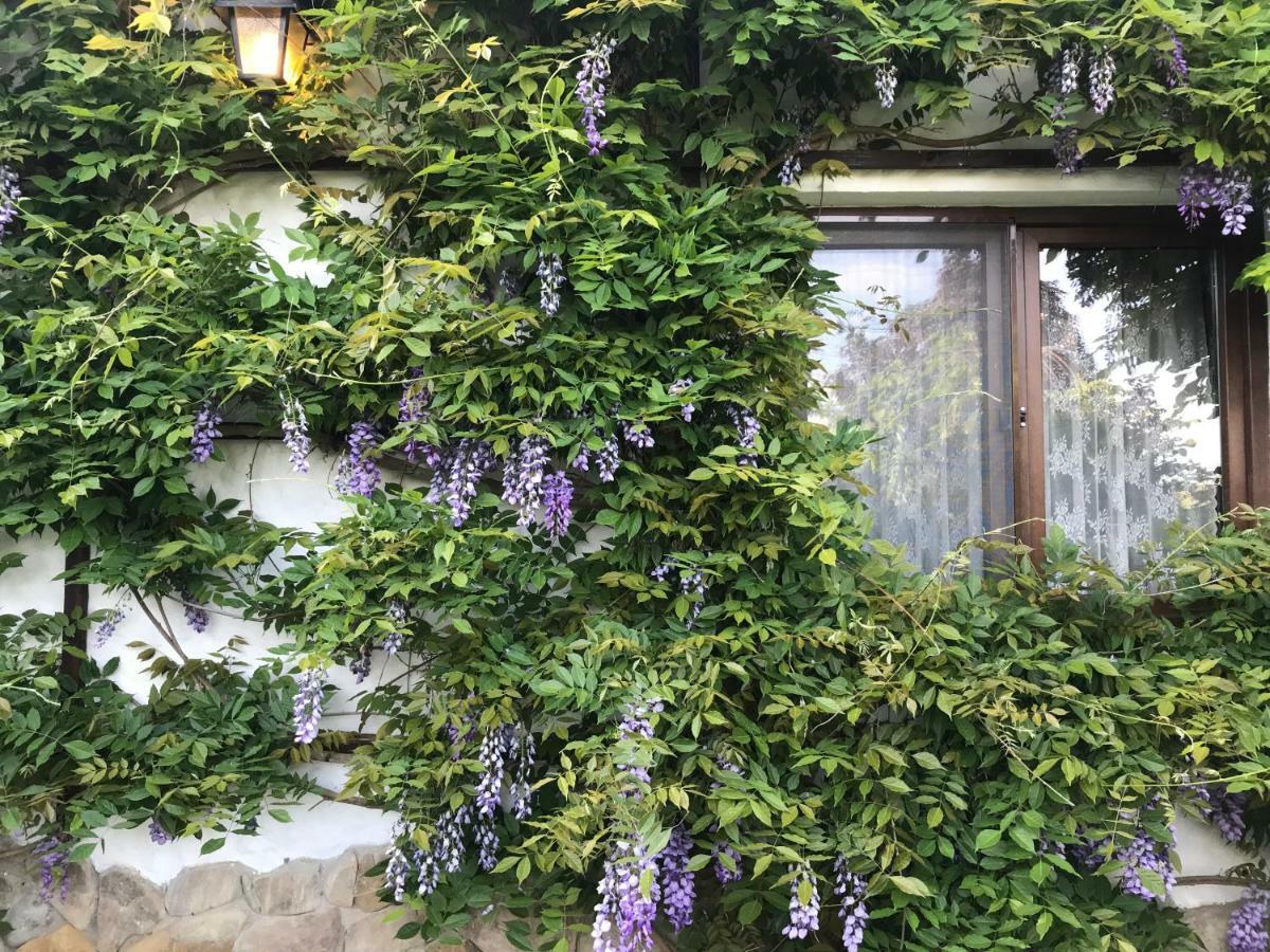 Casa Cu Suflet Hotell Sighişoara Exteriör bild